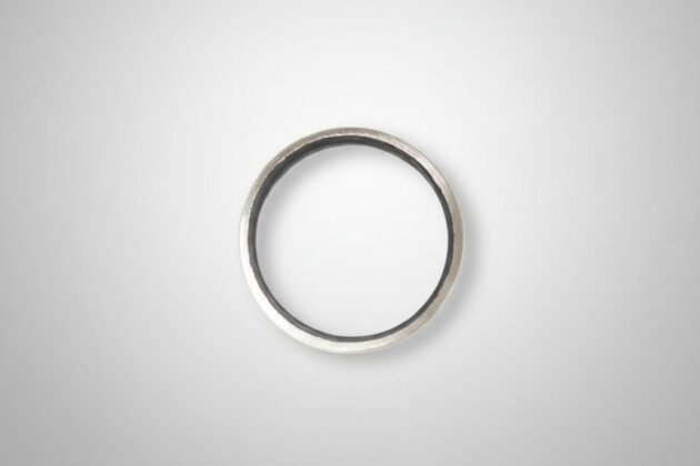 BioRing_2025_4