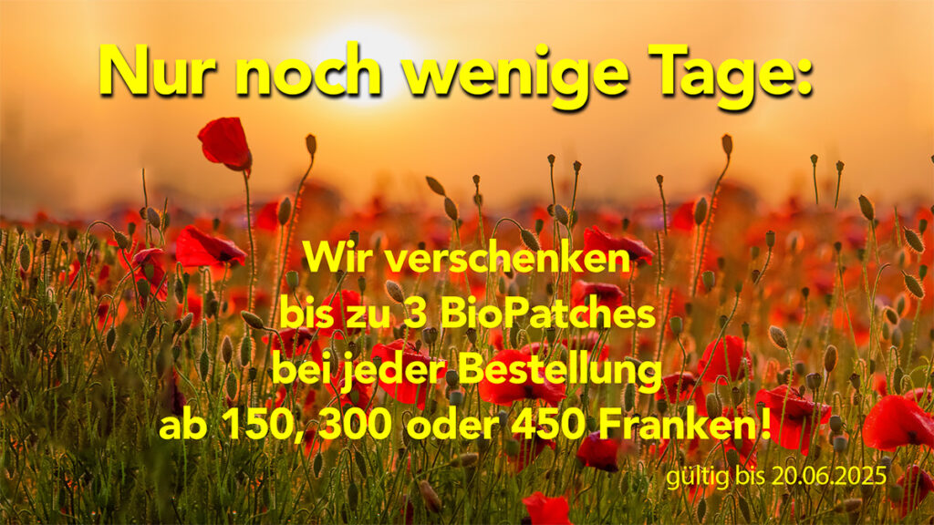 Swiss Harmony Spring Offer